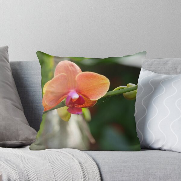 Item preview, Phalaenopsis  designed and sold by ginnymac.