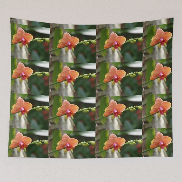 Item preview, Phalaenopsis  designed and sold by ginnymac.