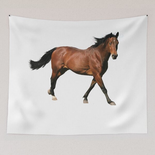 Item preview, Dark Chestnut Horse designed and sold by HichamMissiame.
