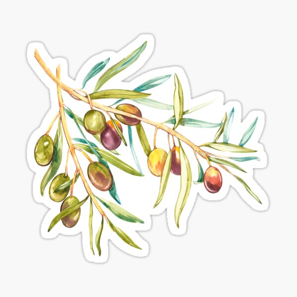 Item preview, Green olives branch designed and sold by Ann Astro.