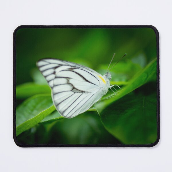 Item preview, Striped albatross butterfly (Appias libythea) designed and sold by AvonPerception.