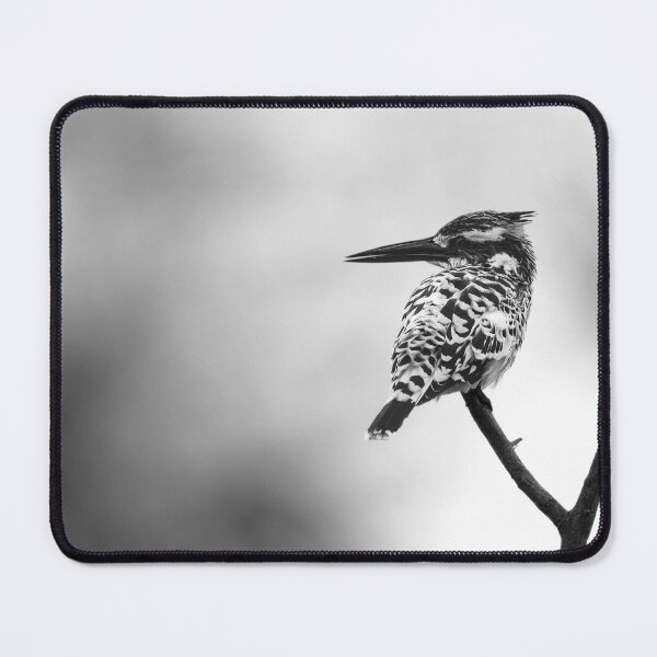 Item preview, Pied kingfisher designed and sold by Puttaswamy Ravishankar.