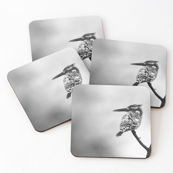 Item preview, Pied kingfisher designed and sold by Puttaswamy Ravishankar.