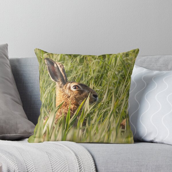 Item preview, Wild hare close up in crop track designed and sold by simonbratt.
