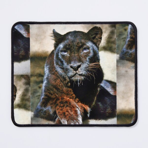 Item preview, Black Leopard designed and sold by Savannah Gibbs.