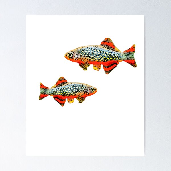 Item preview, Celestial Pearl Danios designed and sold by Zurickdesigns.