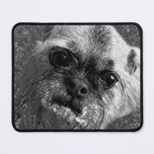 Item preview, Scruffy Pug Mix In The Snow designed and sold by Zurickdesigns.