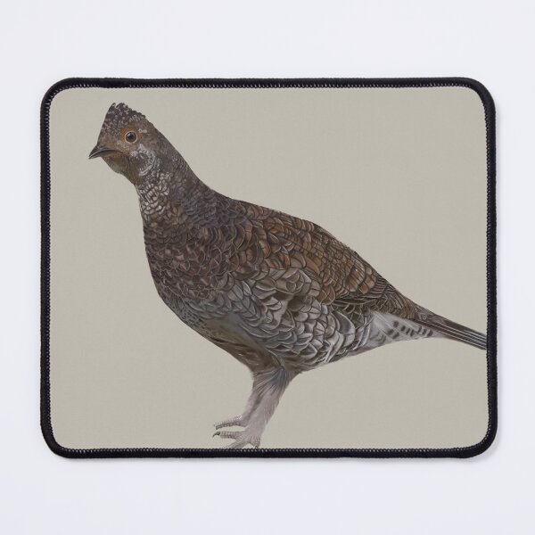 Item preview, Ptarmigan designed and sold by Wondersofwhimsy.