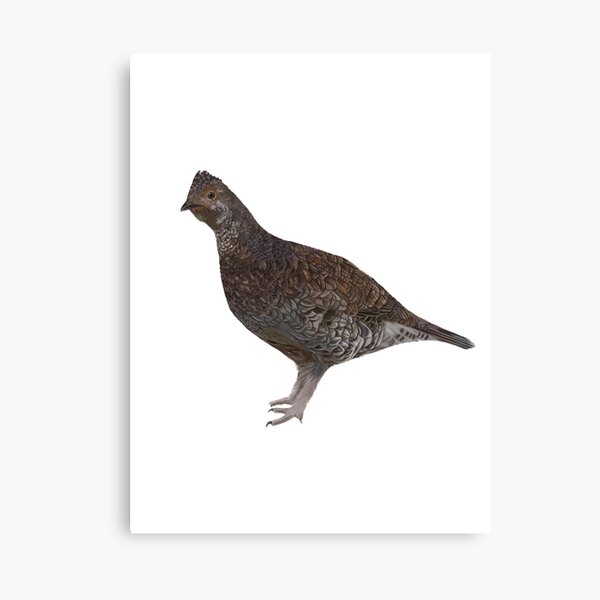 Item preview, Ptarmigan designed and sold by Wondersofwhimsy.