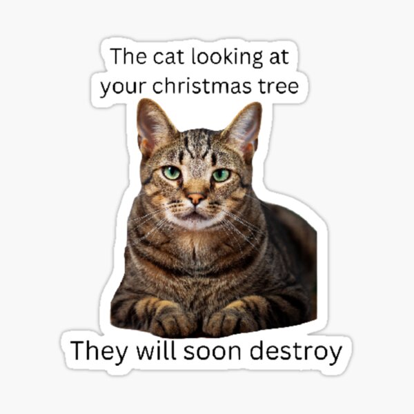 poorly drawn cats on X: if he can't eat the christmas tree he'll become  one  / X