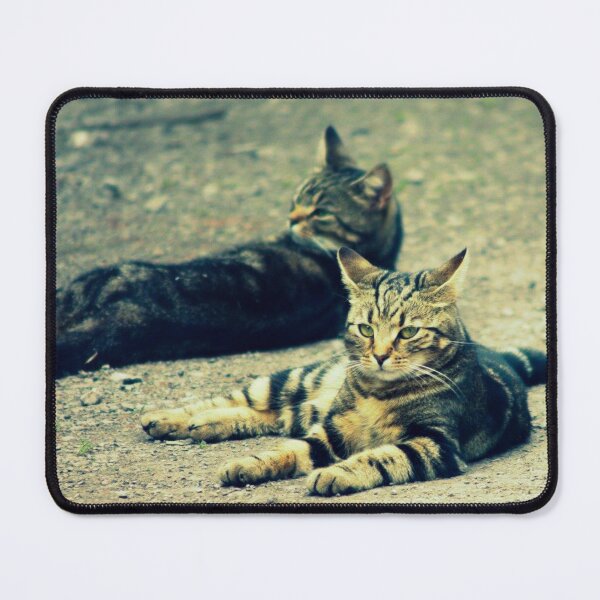 Item preview, tabbies designed and sold by Francespoppy.