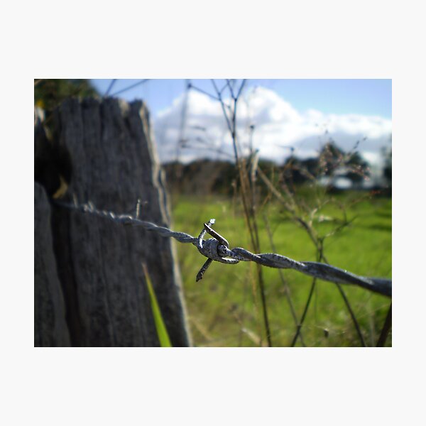 Artikelvorschau, fenced in entworfen und verkauft von erattik.