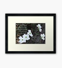 The legend of the dogwood Framed Print