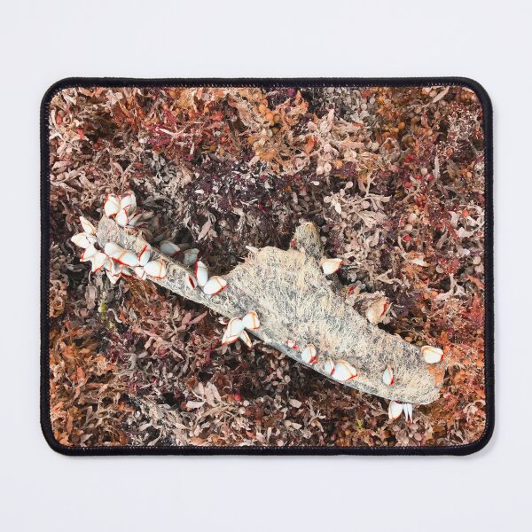 Item preview, Sandal in the seaweed designed and sold by kimhanks.