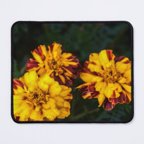 Item preview, marigolds designed and sold by Francespoppy.