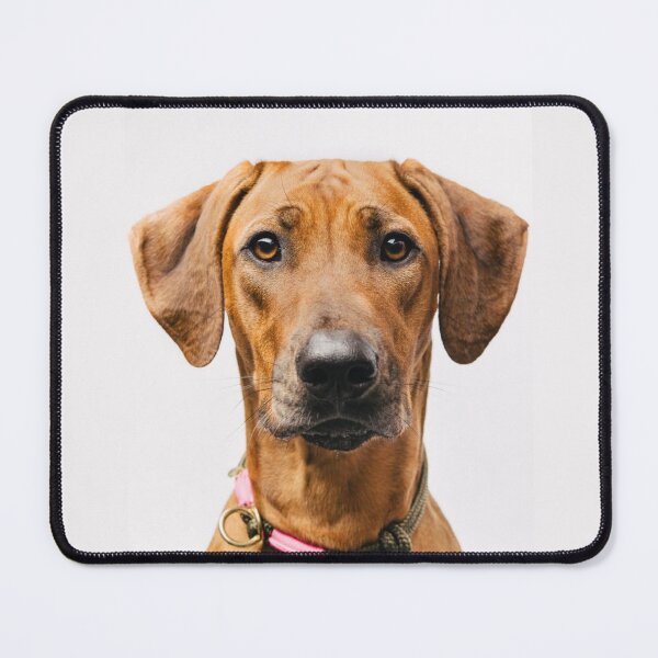 Item preview, Cute Rhodesian Ridgeback  designed and sold by amineandmore.
