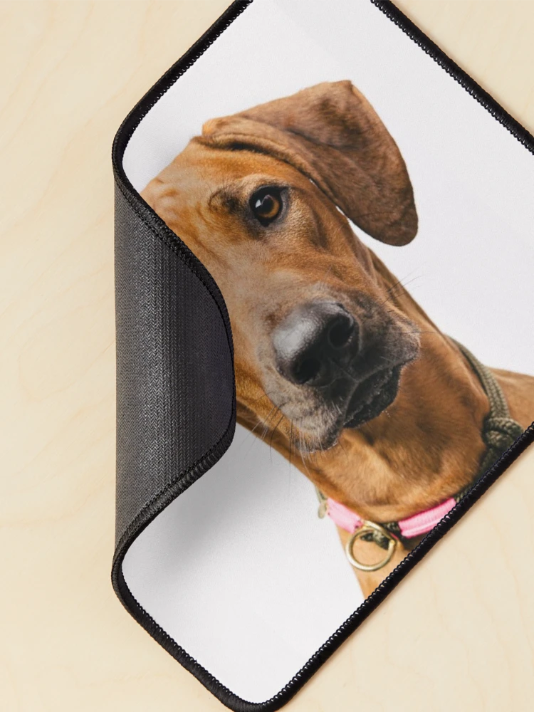 Thumbnail 2 of 5, Mouse Pad, Cute Rhodesian Ridgeback  designed and sold by amineandmore.