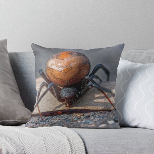 Item preview, Youngster with attitude designed and sold by Christopher Allen.