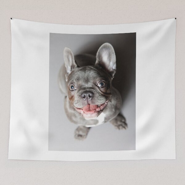 Item preview, french bulldog designed and sold by Falko-Follert.