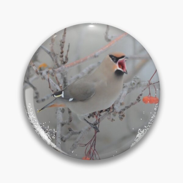 Item preview, Love Bohemian Waxwings designed and sold by Whisperingpeaks.