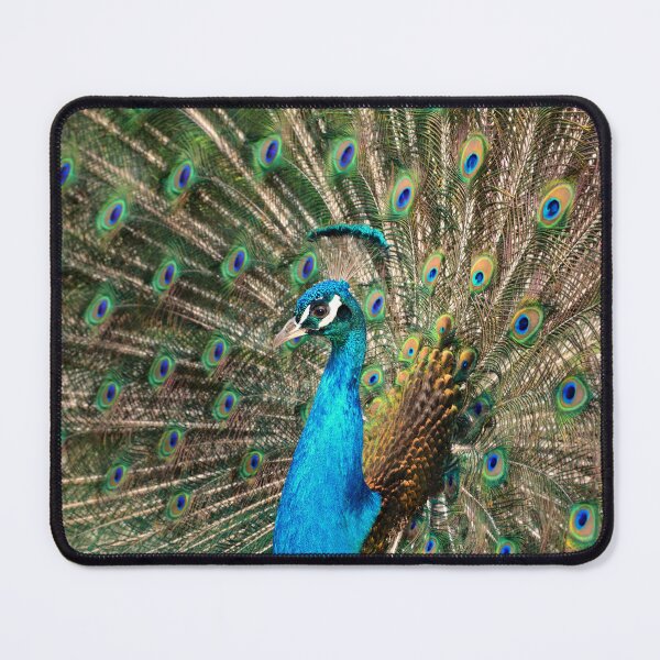 Item preview, The peacock designed and sold by Claudia-Evans.