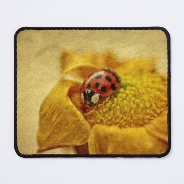 Item preview, Tender ladybird designed and sold by Claudia-Evans.