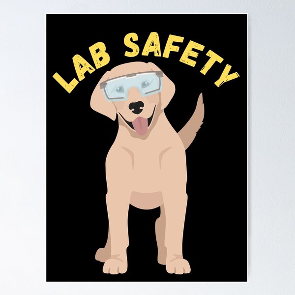 Item preview, Lab Safety Labrador Retriever with Text designed and sold by LatterDaze.