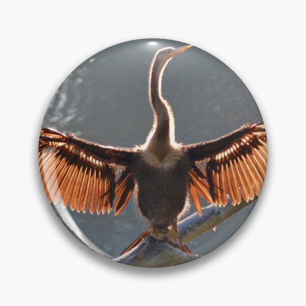 Item preview, Anhinga Sunning Itself designed and sold by grygiel5.