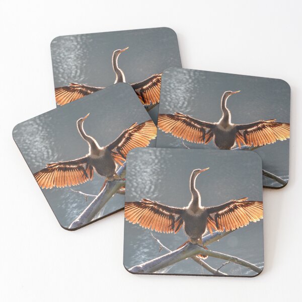 Item preview, Anhinga Sunning Itself designed and sold by grygiel5.