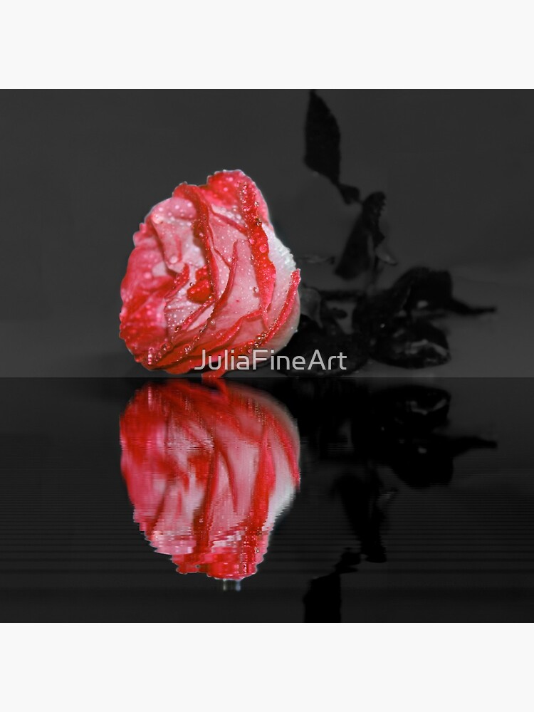 Red Rose by JuliaFineArt