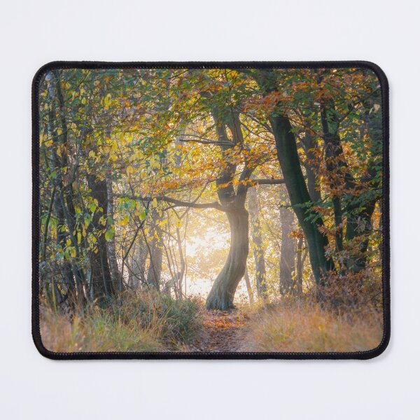 Item preview, Spring in forest  designed and sold by Eagleus89.