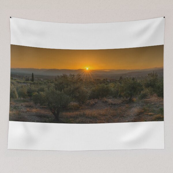 Item preview, Mykines Olive Grove Sunset designed and sold by DiFigianoPhoto.