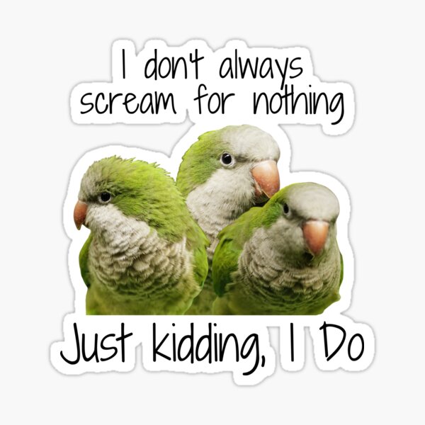 Item preview, Quaker Parrots - I Don't Always Scream for Nothing; Just Kidding, I Do! designed and sold by Christine James.
