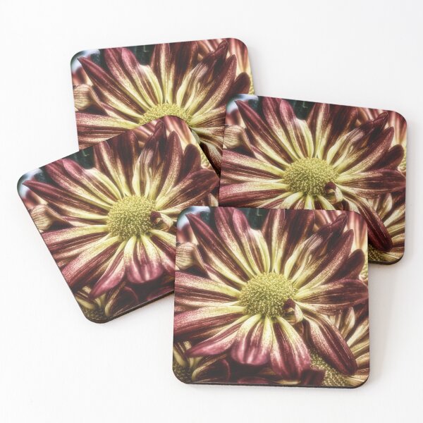 Item preview, Sunset Mums - Chrysanthemums designed and sold by James DeFazio.