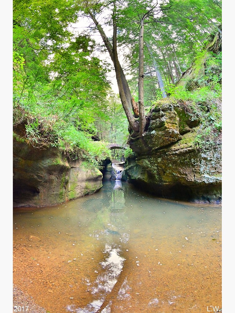 "Devil's Bathtub At Hocking Hills Ohio Vertical" Poster by