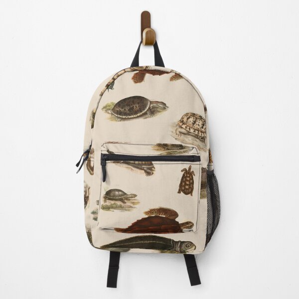 Item preview, Naturalistic Turtle and Tortoise Poster designed and sold by AsaBloom.