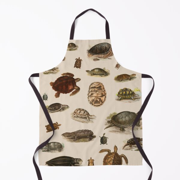 Item preview, Naturalistic Turtle and Tortoise Poster designed and sold by AsaBloom.