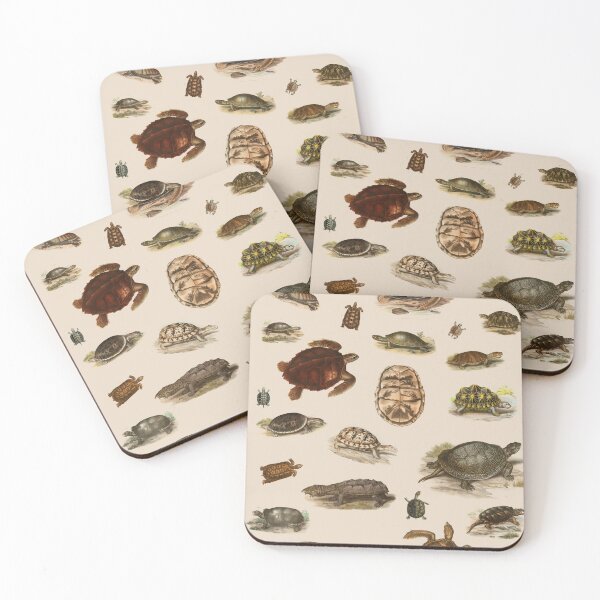 Item preview, Naturalistic Turtle and Tortoise Poster designed and sold by AsaBloom.