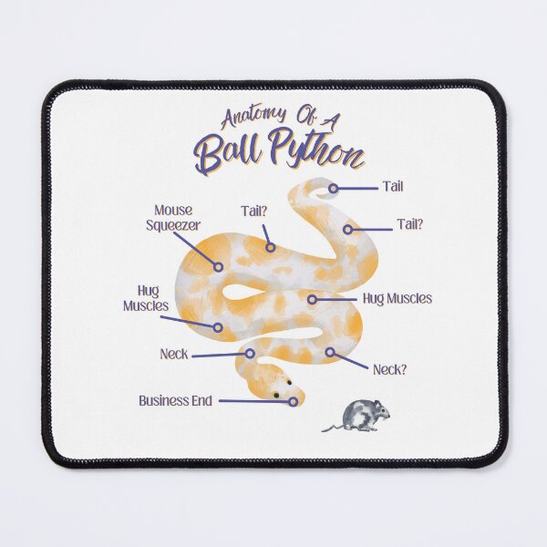 Item preview, Anatomy Of A Ball Python Snake, Reptile Lover Gifts, Herpetology designed and sold by LifeIsAGiftD.