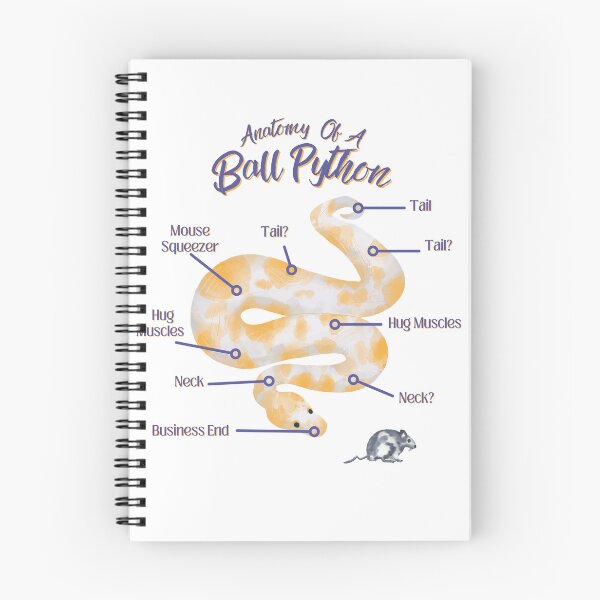 Item preview, Anatomy Of A Ball Python Snake, Reptile Lover Gifts, Herpetology designed and sold by LifeIsAGiftD.