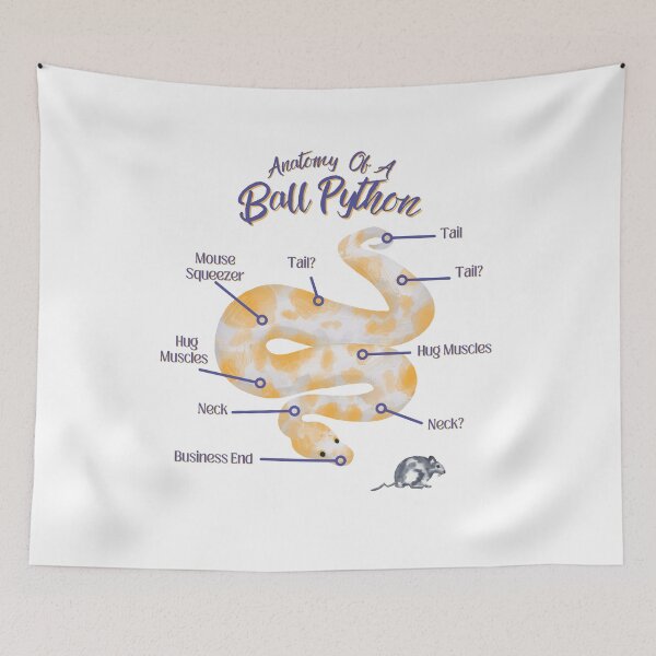 Item preview, Anatomy Of A Ball Python Snake, Reptile Lover Gifts, Herpetology designed and sold by LifeIsAGiftD.
