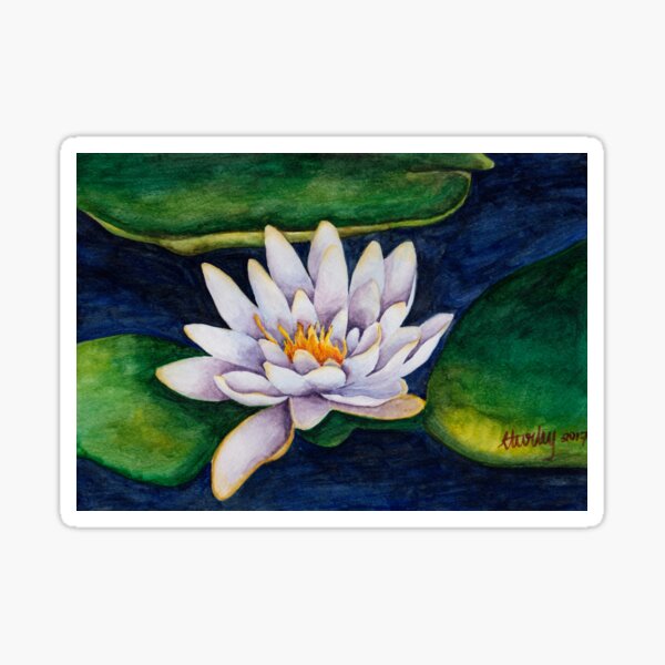 Water lilies, water colours, christmas gift, floral designs Sticker