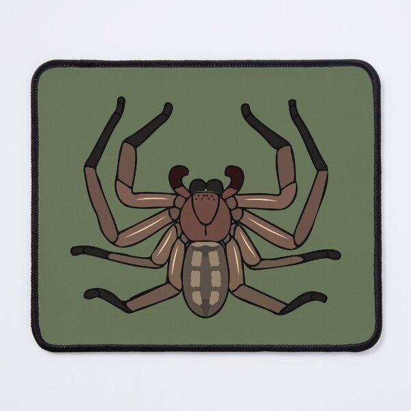 Item preview, Australian Huntsman spider (Delena cancerides) designed and sold by thebugladies.