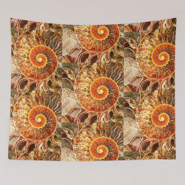 Item preview, Ammonite Fossil designed and sold by angel1.