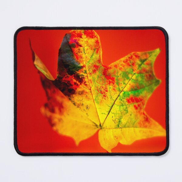 Item preview, Autumn Maple Leaf designed and sold by FOLK ART FUSION by heidiannemorris.