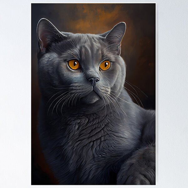 Chartreux store for sale