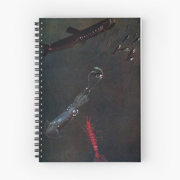 Item preview, Luminous deep-sea animals from the Mid-Atlantic designed and sold by superbling.
