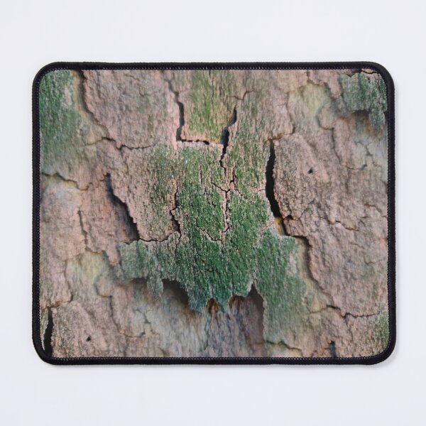 Item preview, Plane tree bark designed and sold by AdioraStore.