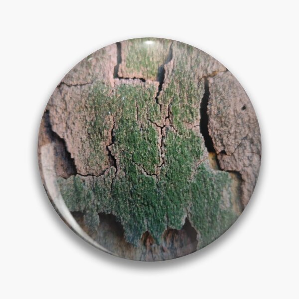 Item preview, Plane tree bark designed and sold by AdioraStore.