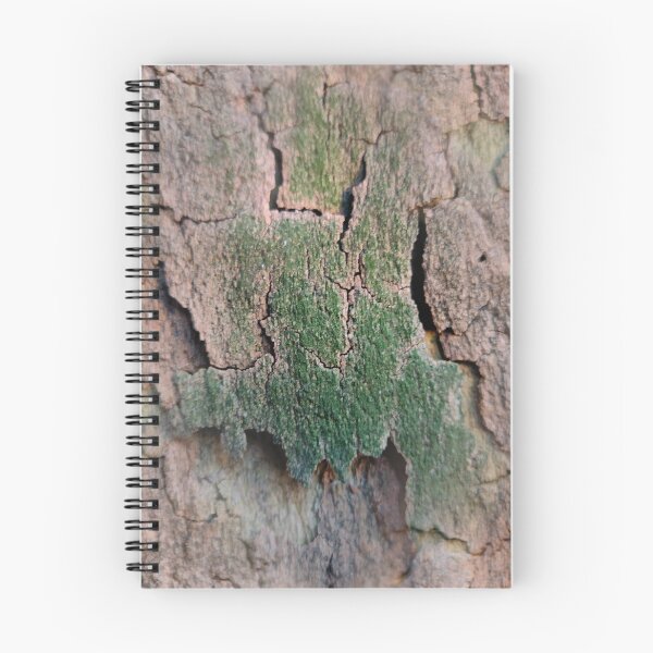 Item preview, Plane tree bark designed and sold by AdioraStore.